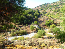 13Kritsa-Kloof-Wandelen-Op-Kreta13