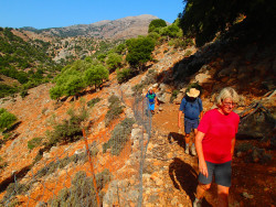 15Kritsa-Kloof-Wandelen-Op-Kreta15