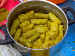 Dolmades op Kreta