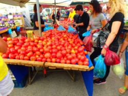 Tomaten op Kreta