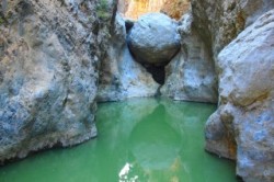Havgas wandeling op Kreta